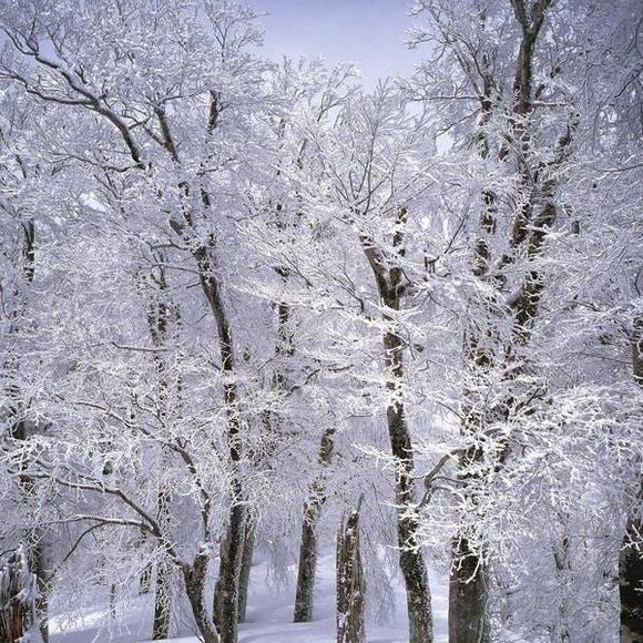 Meet your Posher, Eileen - Picture 1 of 1